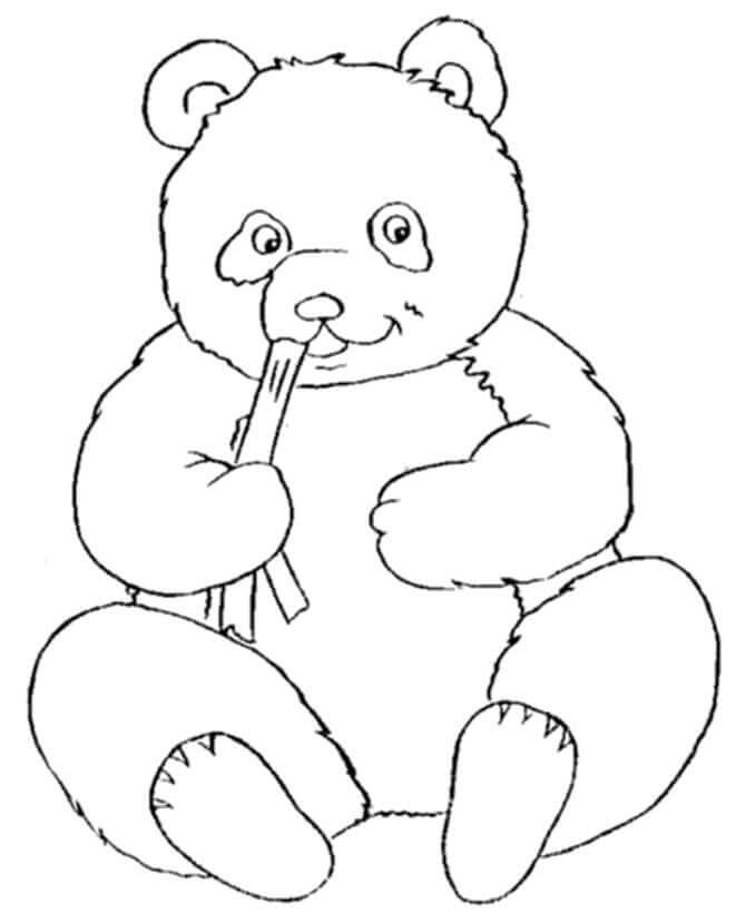 Dibujos de Panda come Bambú para colorear
