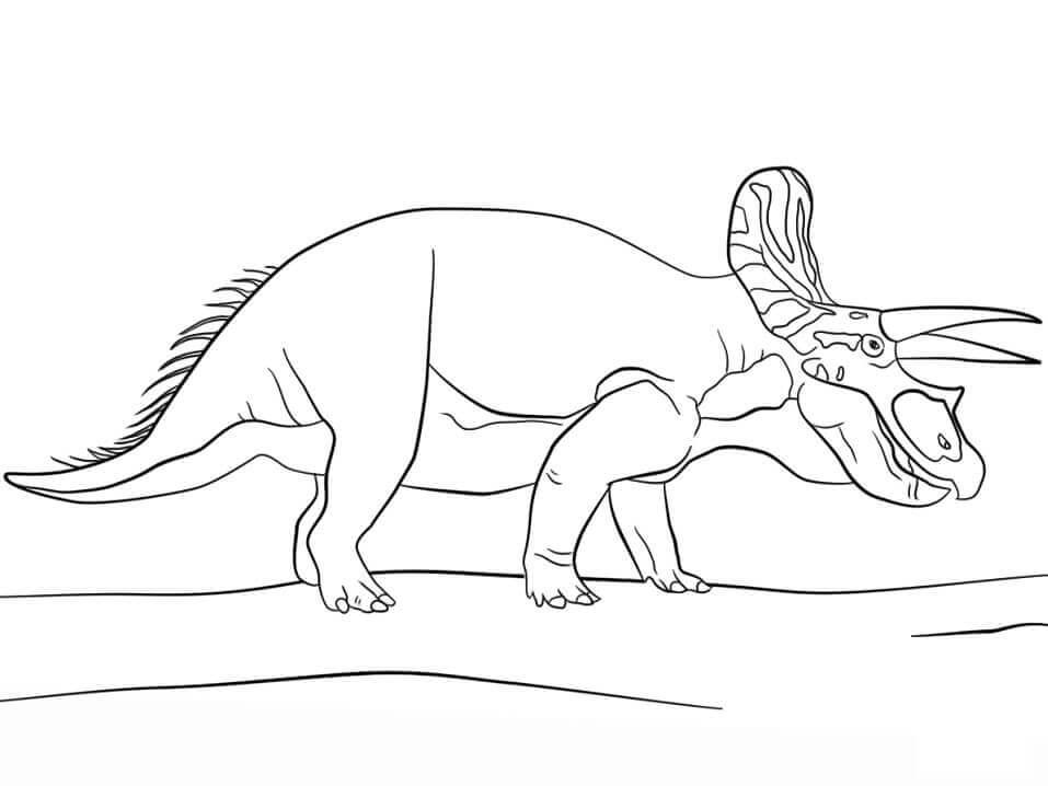Parque Jurásico Triceratops para colorir