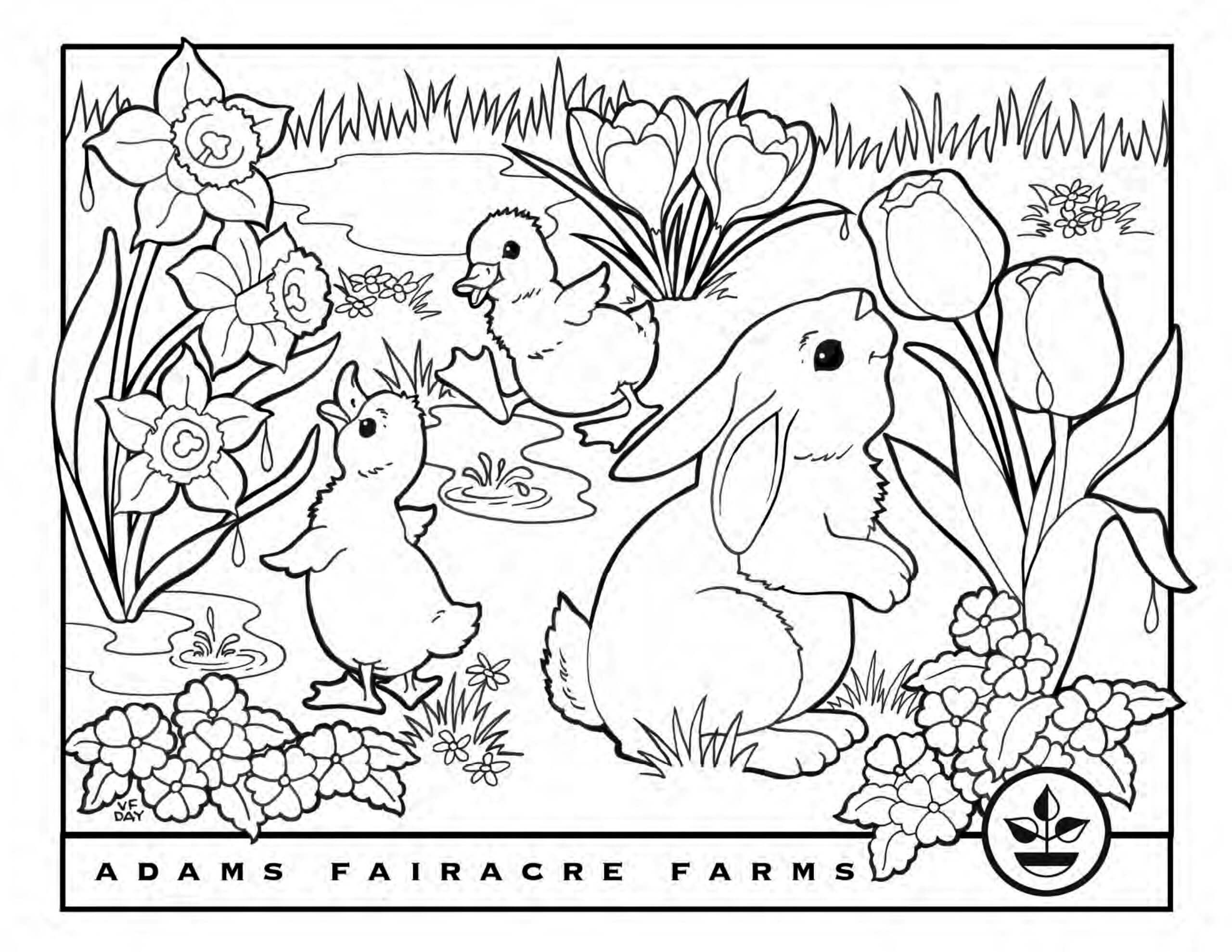 Dibujos de Pascua de dos Patos y Conejo para colorear