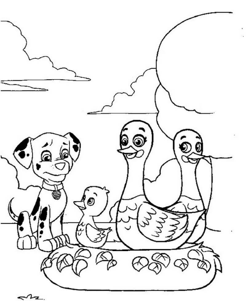 Dibujos de Patrulla Canina Marshall Con Pato para colorear