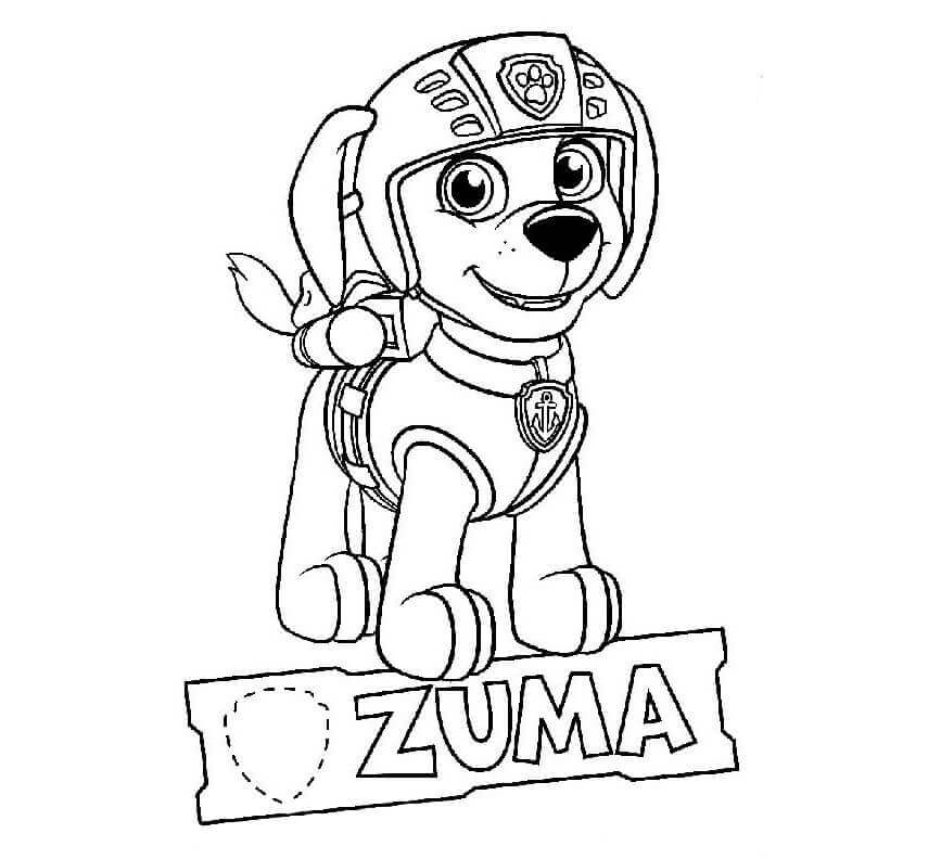 Patrulla Canina Zuma para colorir