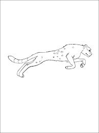 Dibujos de Pequeño Puma Saltando para colorear