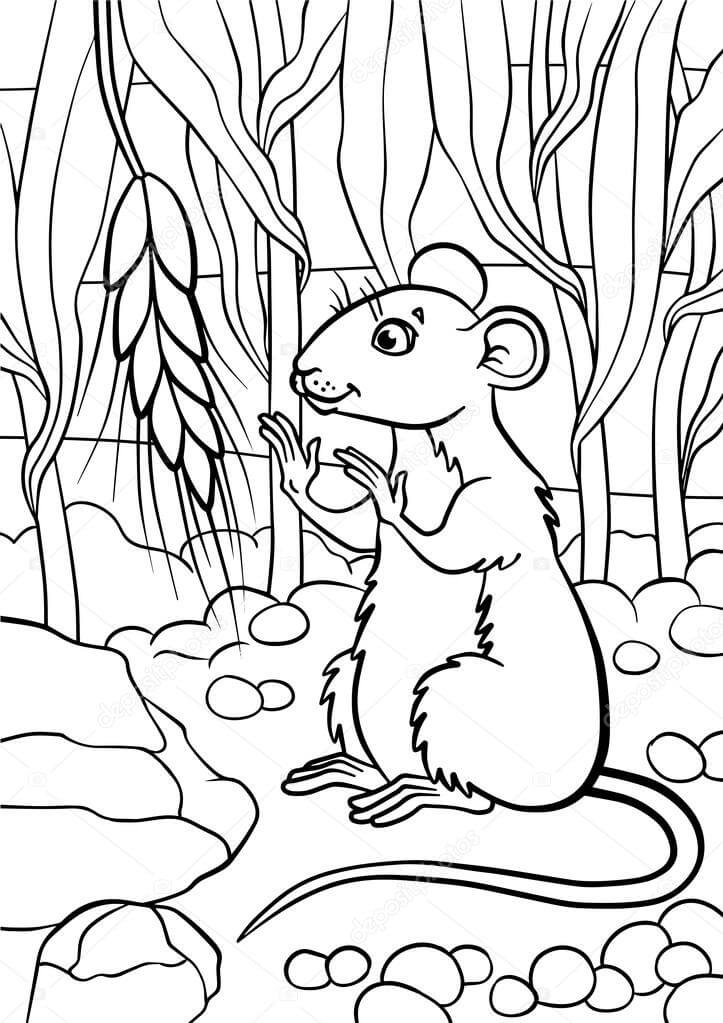 Pequeño ratón Lindo Mira el Pedazo de Trigo para colorir