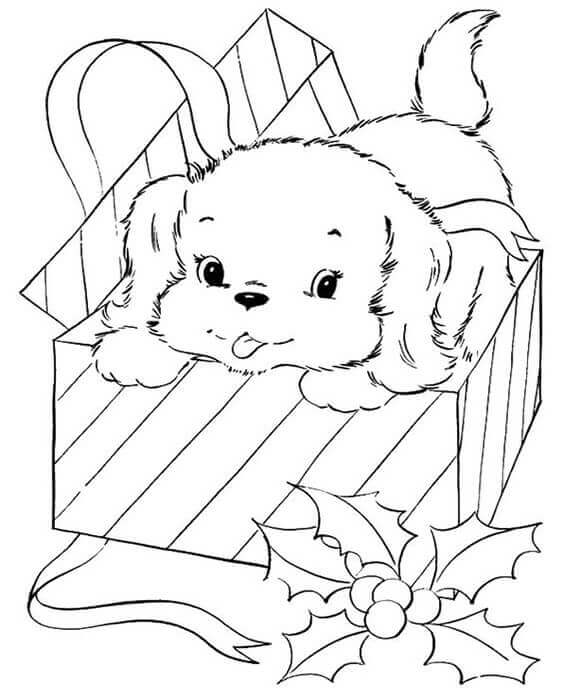 Dibujos de Perro Bebé en Caja de Regalo para colorear