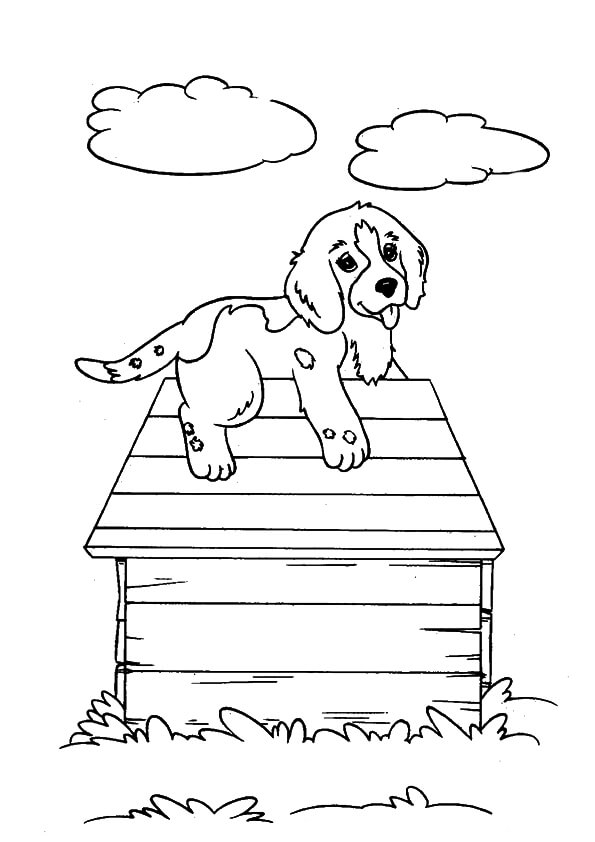 Dibujos de Perro con Nubes para colorear