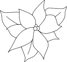 Dibujos de Poinsettia Floreciente para colorear