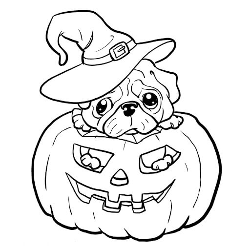 Pug Bruja en Calabaza para colorir