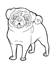 Pug Gracioso para colorir