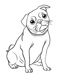 Pug Perfecto para colorir