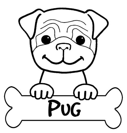 Pug y Hueso para colorir