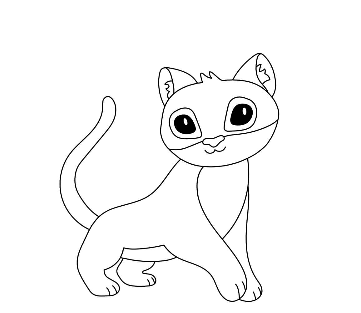 Puma de Dibujos Animados para colorir