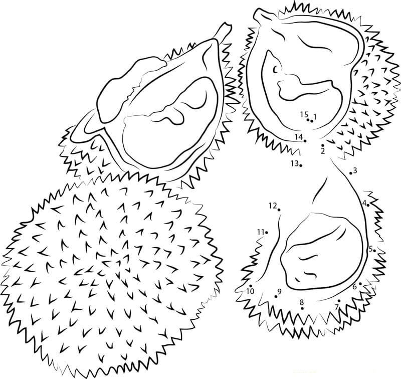 Dibujos de Punto a Punto de Durian Rojo para colorear