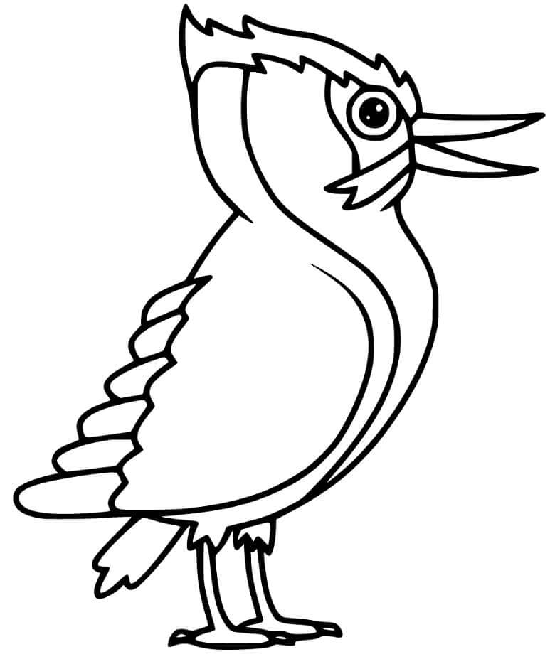Dibujos de Pájaro Carpintero Divertido para colorear