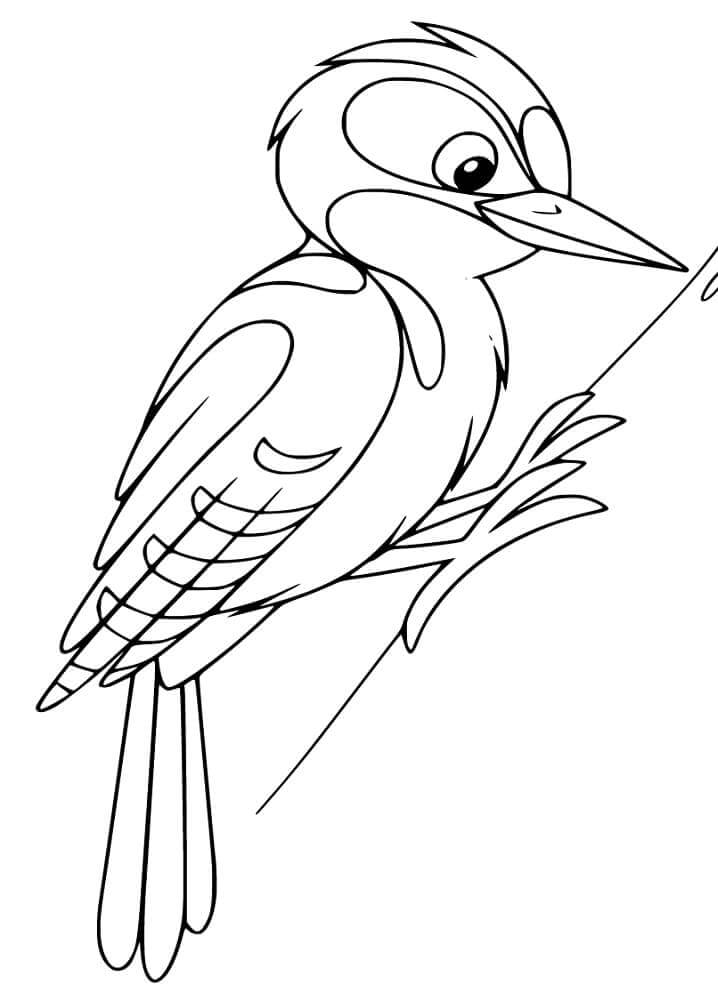 Dibujos de Pájaro Carpintero Feliz para colorear