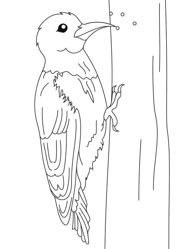 Dibujos de Pájaro Carpintero Kawaii para colorear