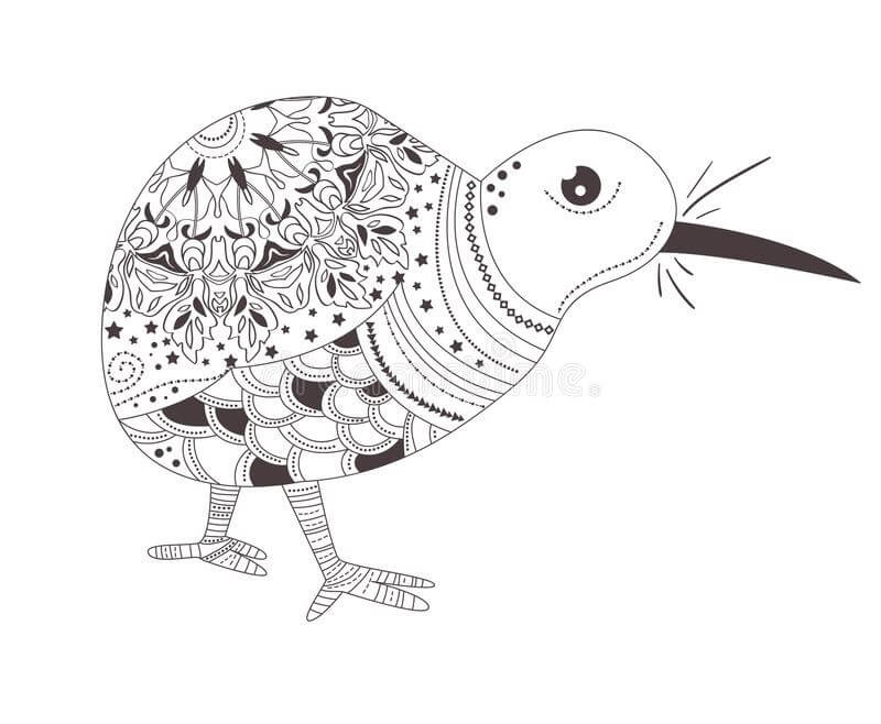 Pájaro Kiwi Adulto para colorir