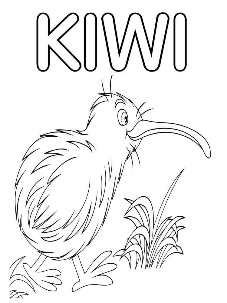 Pájaro Kiwi Caminando para colorir