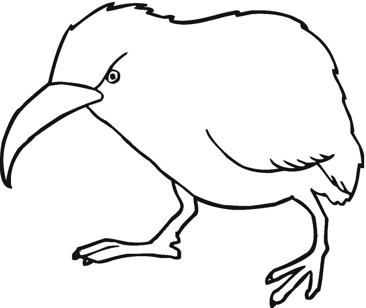 Pájaro Kiwi Enojado para colorir