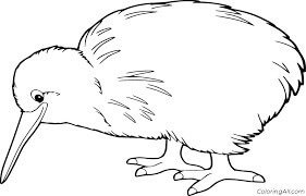 Pájaro Kiwi Normal para colorir