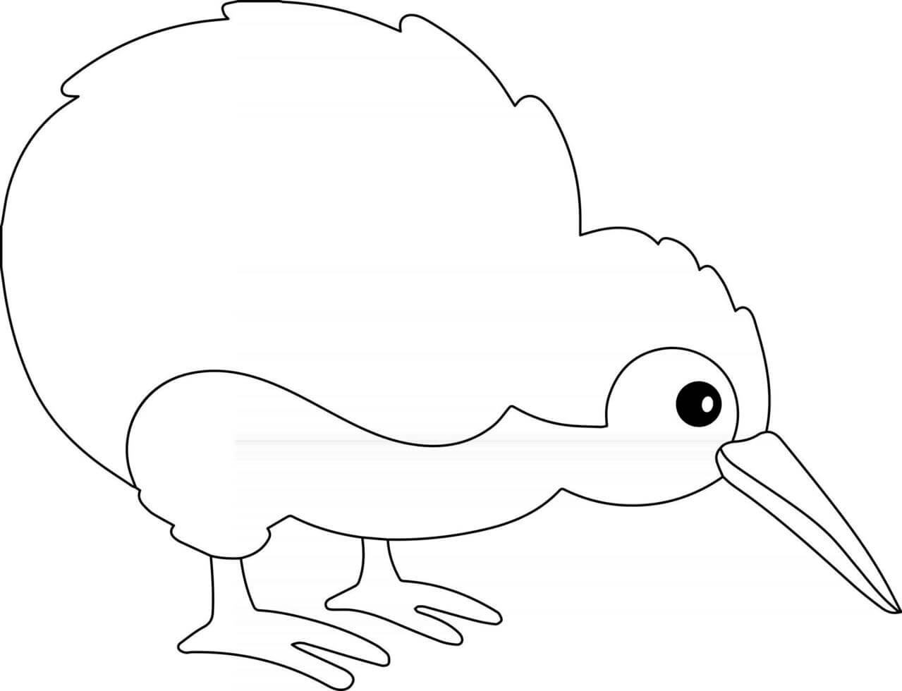 Pájaro Kiwi Perfecto para colorir