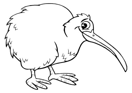 Pájaro Kiwi Sonriente para colorir