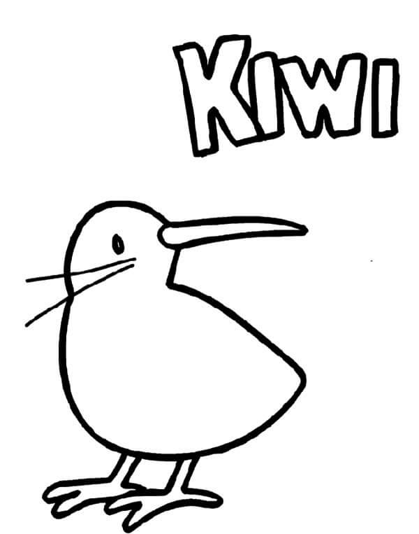 Pájaro Kiwi bebé para colorir