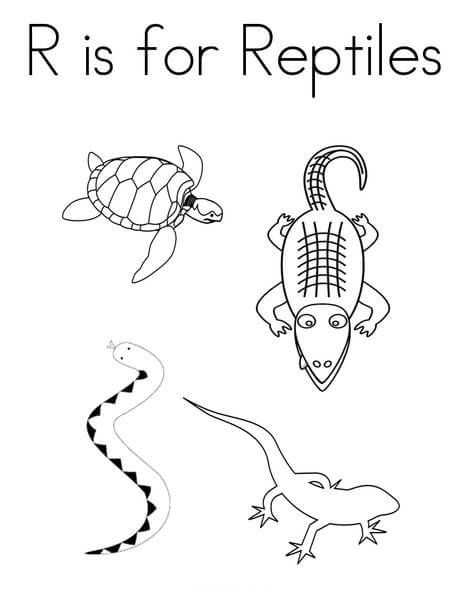 R es para Reptiles para colorir