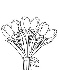 Dibujos de Ramo Básico de Tulipanes para colorear