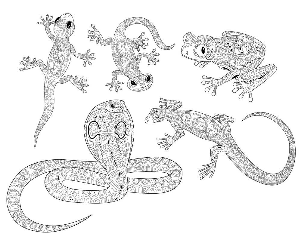 Dibujos de Reptiles Duros para colorear
