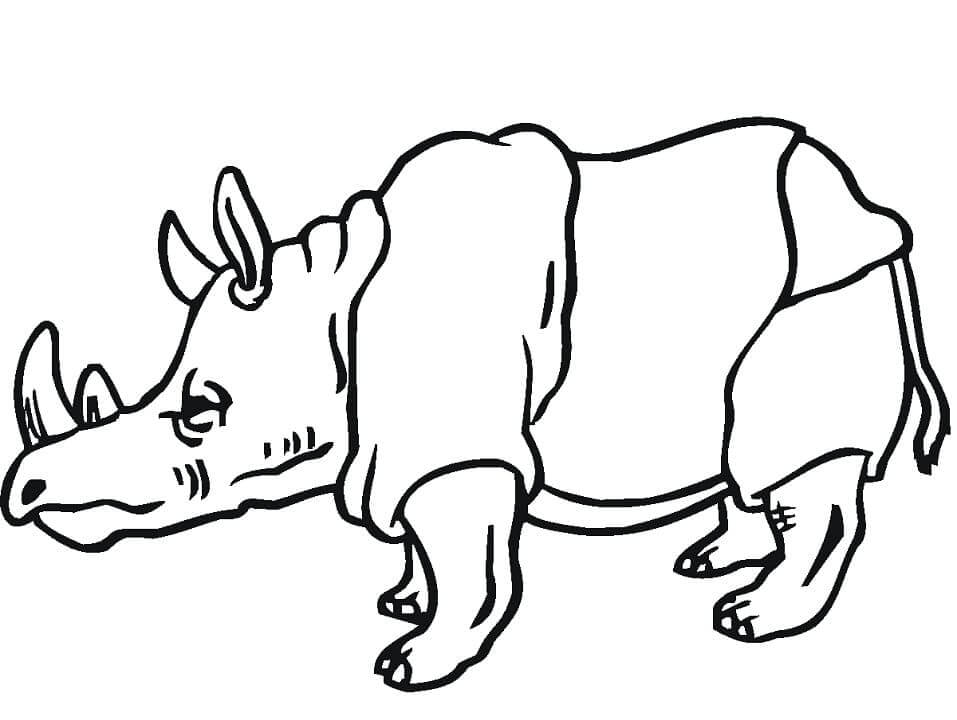 Rinoceronte Normal para colorir