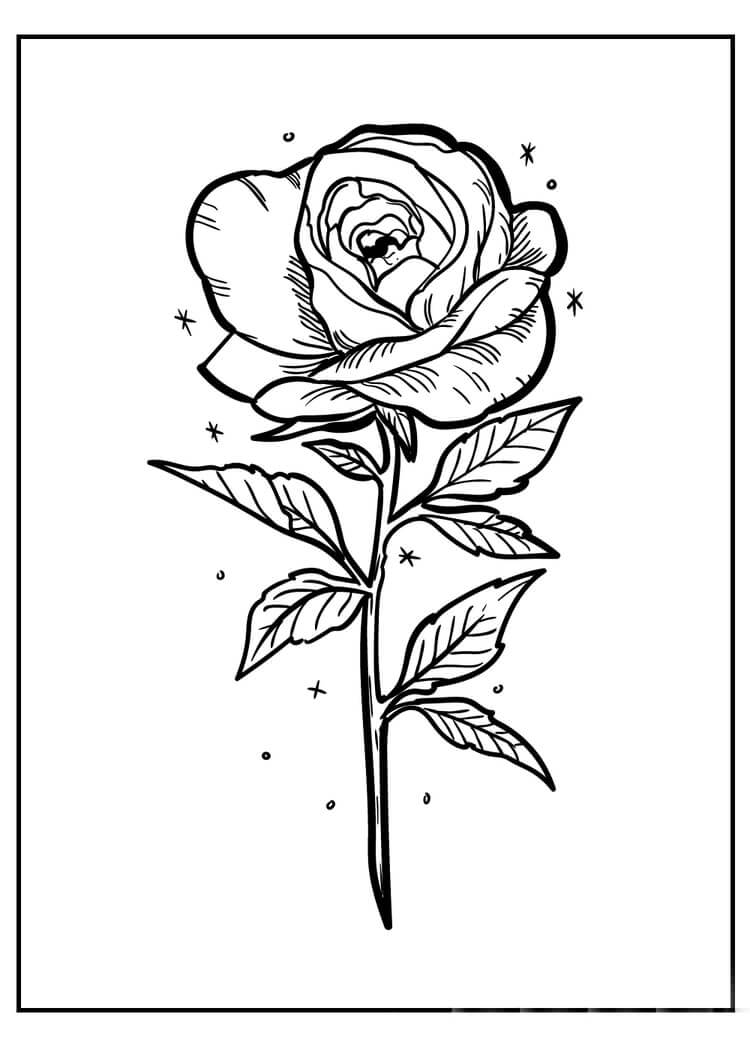 Rosa Básica para colorir