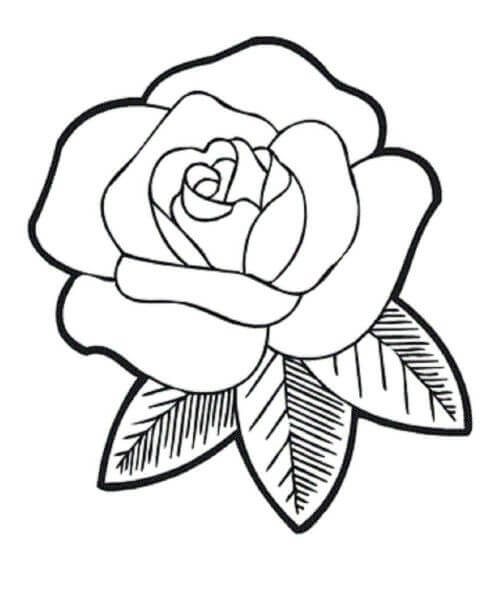 Rosa Simples para colorir
