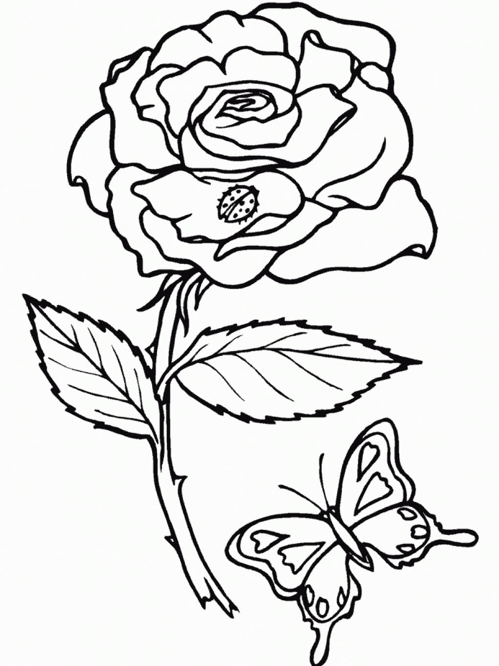 Dibujos de Rosa y Mariposa para colorear
