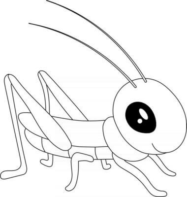 Saltamontes coloring pages