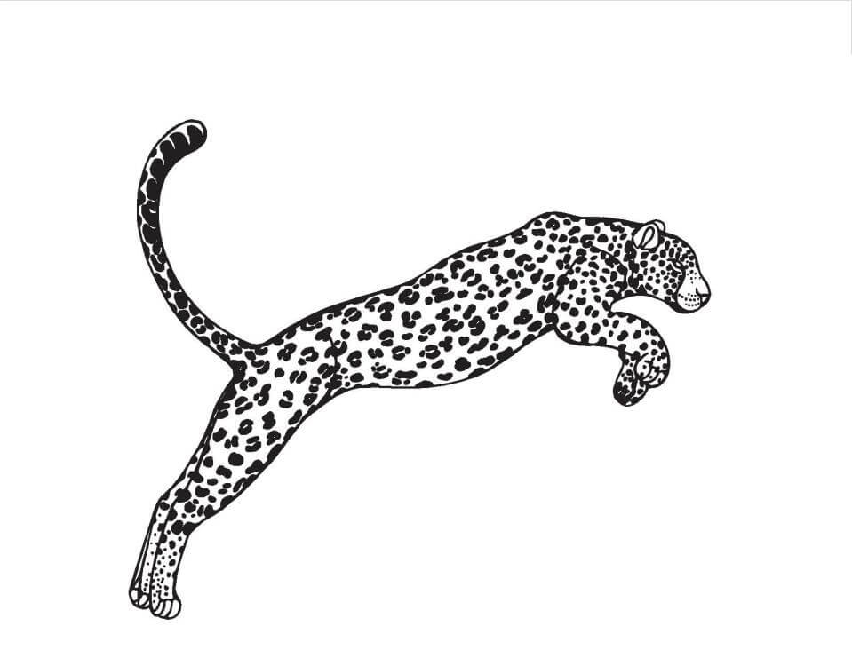 Salto de Leopardo para colorir