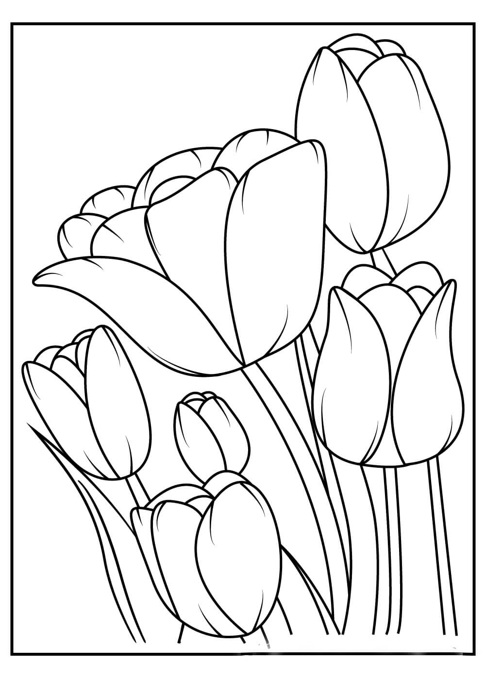 Dibujos de Seis Tulipanes para colorear