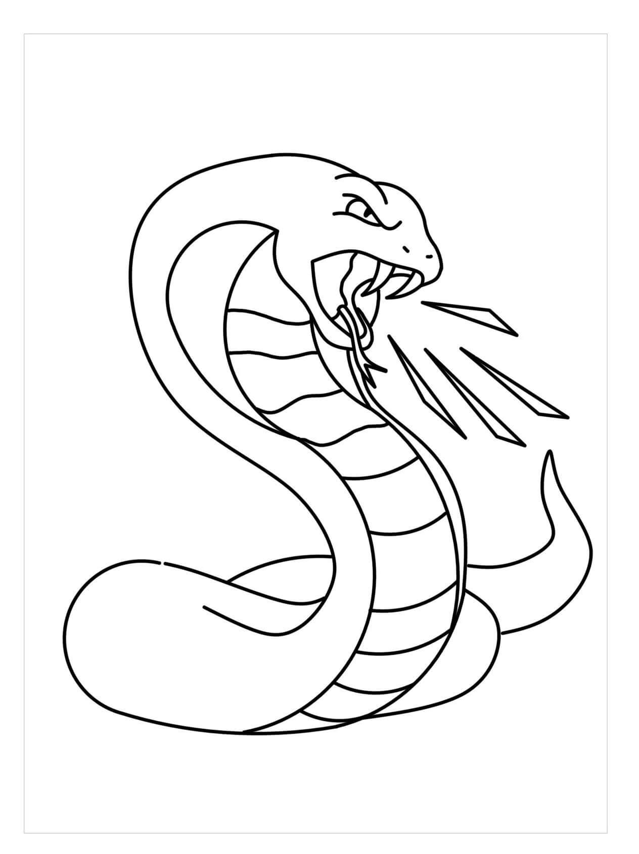 Dibujos de Serpiente Enojada para colorear