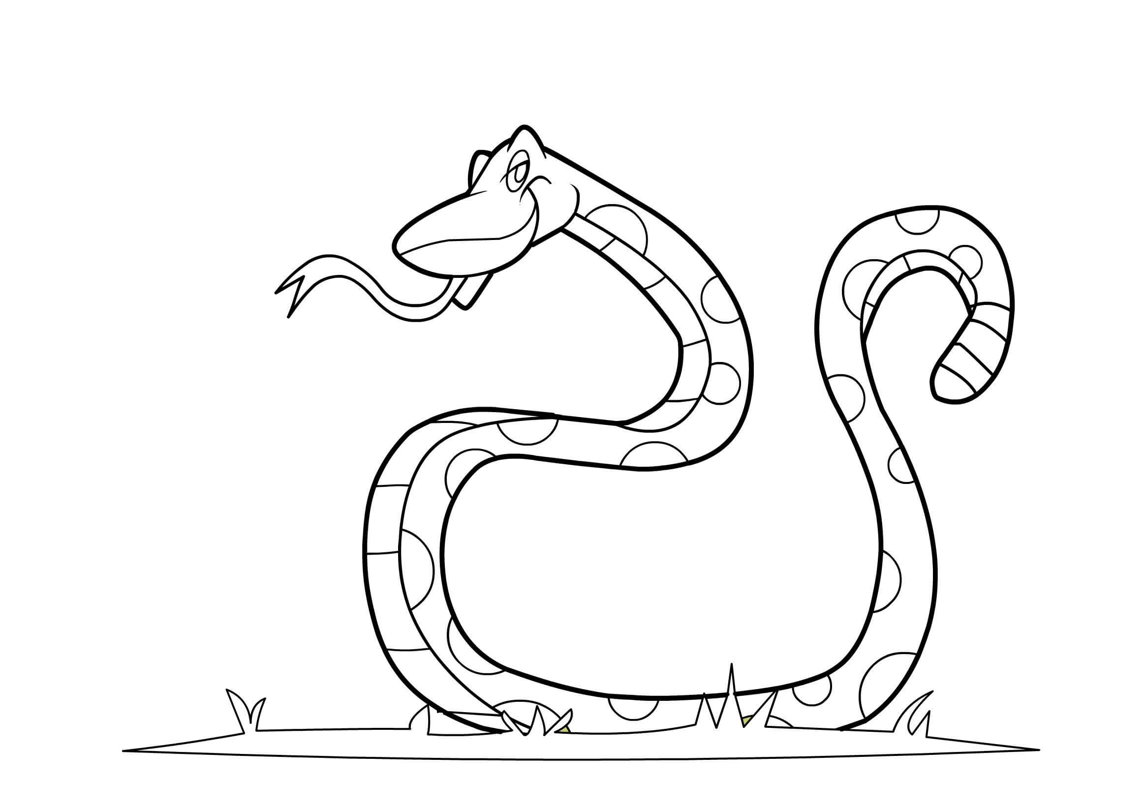 Dibujos de Serpiente Fresca para colorear