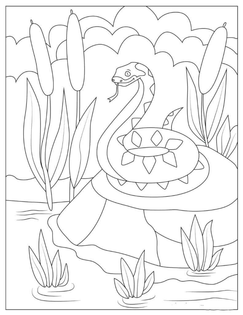 Dibujos de Serpiente Libre para colorear