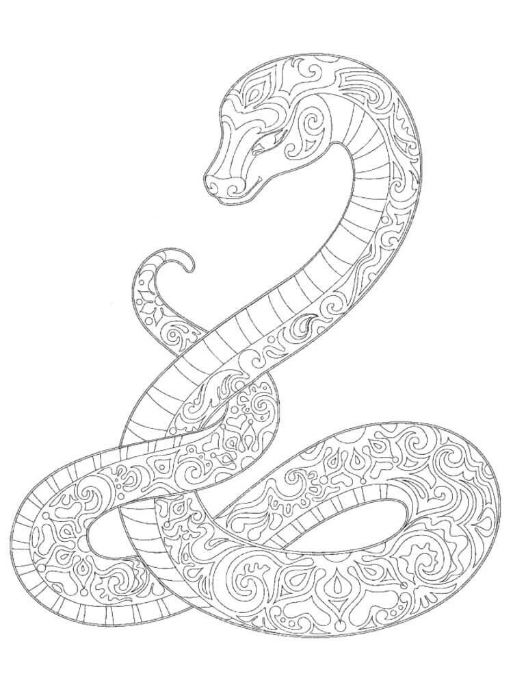 Dibujos de Serpiente Mándala para colorear
