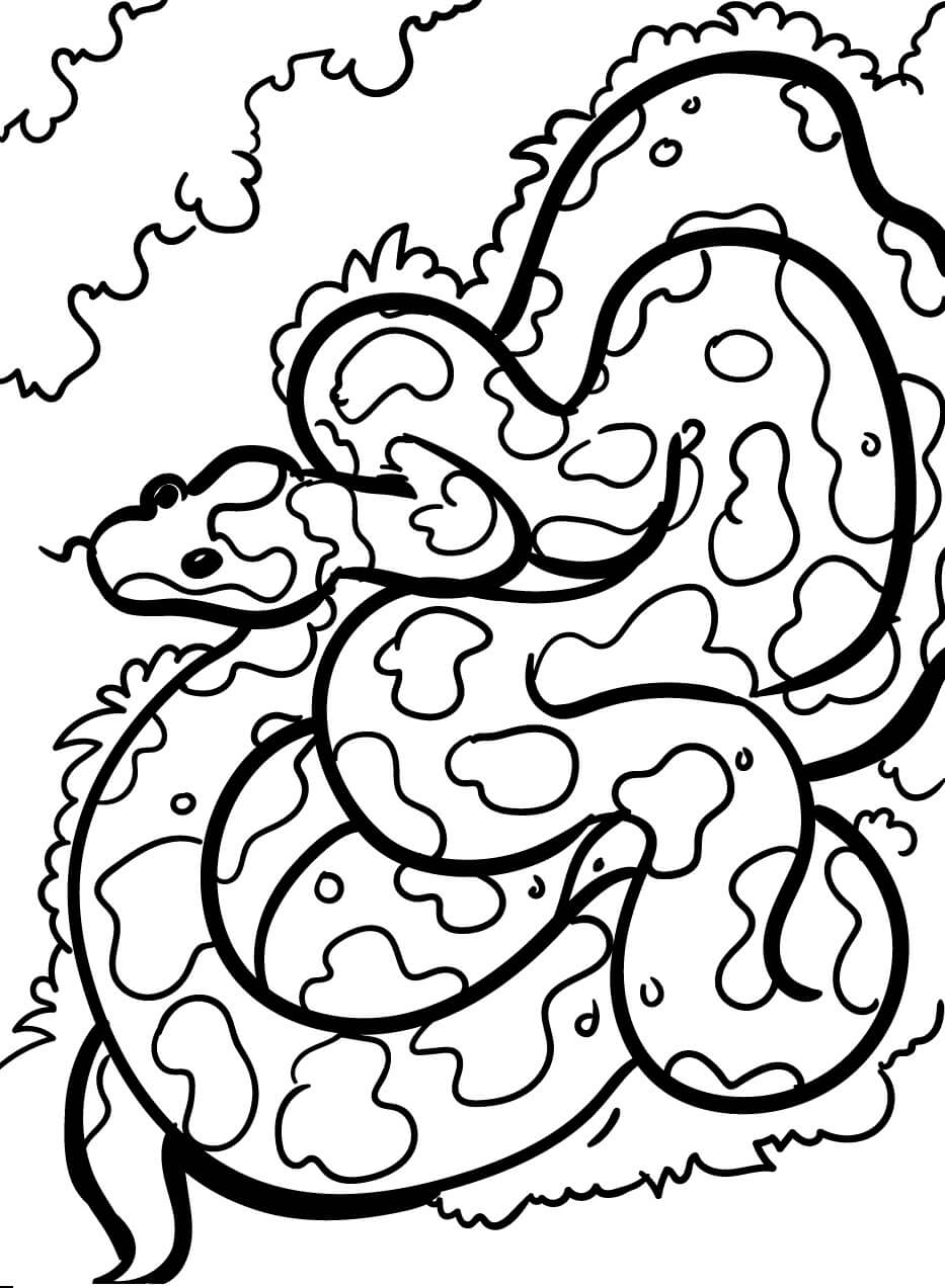 Serpiente de Camuflaje para colorir