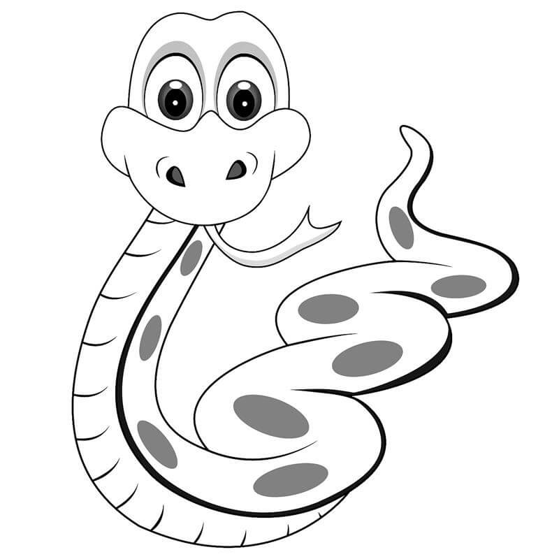 Dibujos de Serpiente de Caricatura para colorear