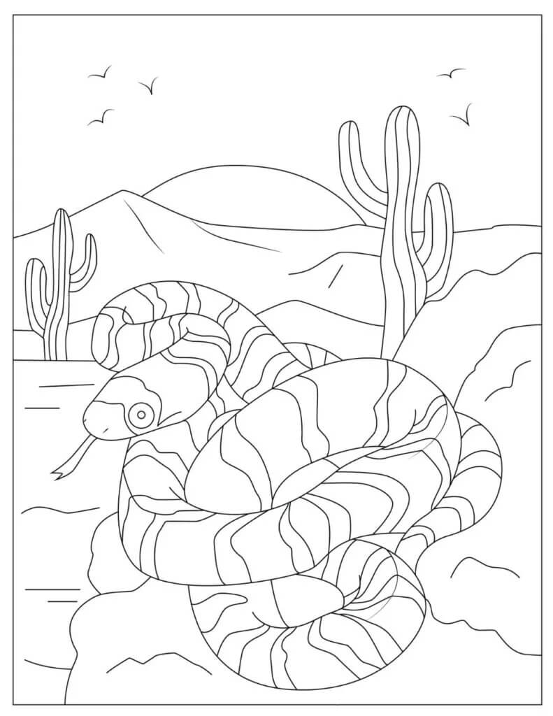 Dibujos de Serpientes en el Desierto para colorear