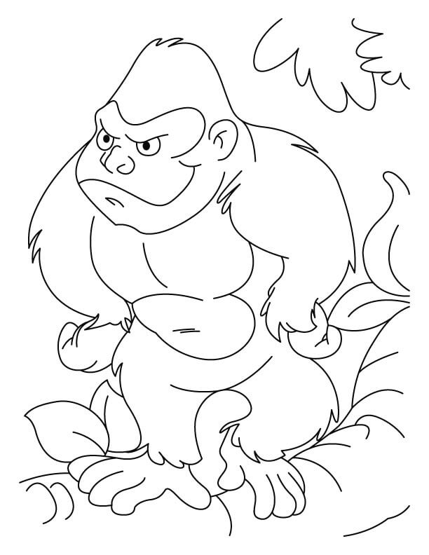 Dibujos de Apes