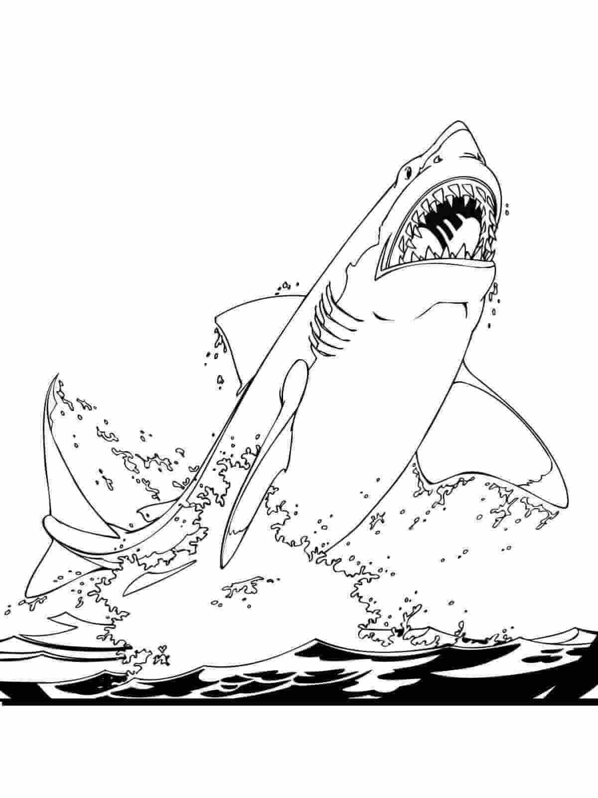 Dibujos de Tiburón Blanco salta del Mar para colorear