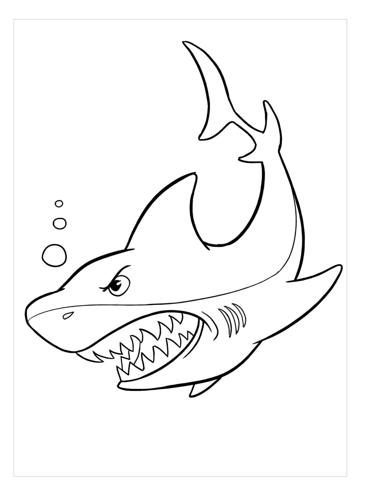 Tiburón Enojado para colorir