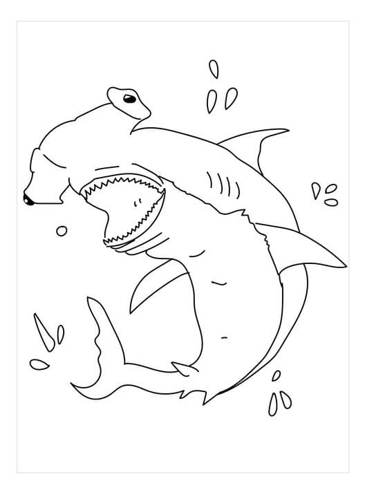 Dibujos de Tiburón Martillo Divertida para colorear