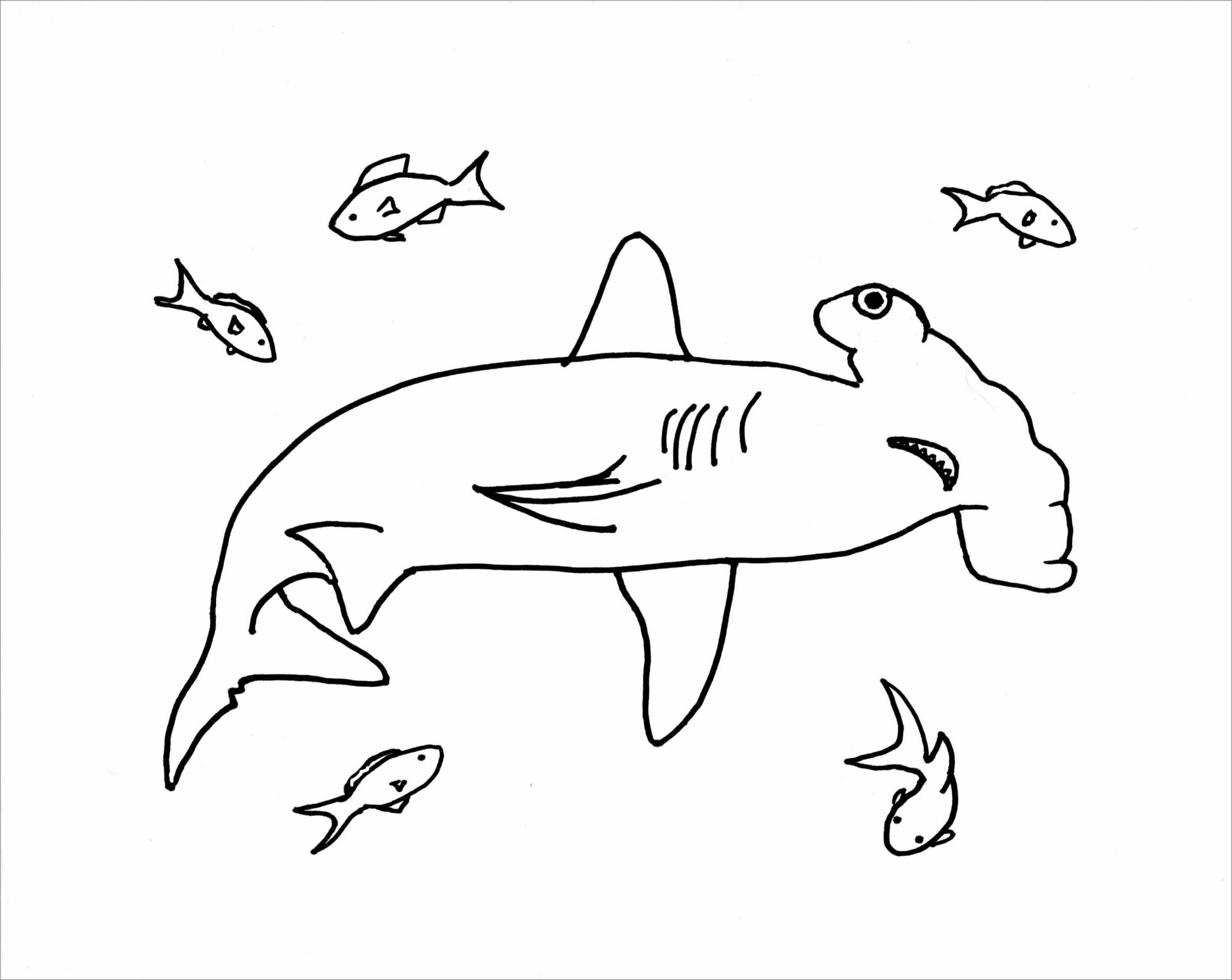 Dibujos de Tiburón Martillo con Peces para colorear