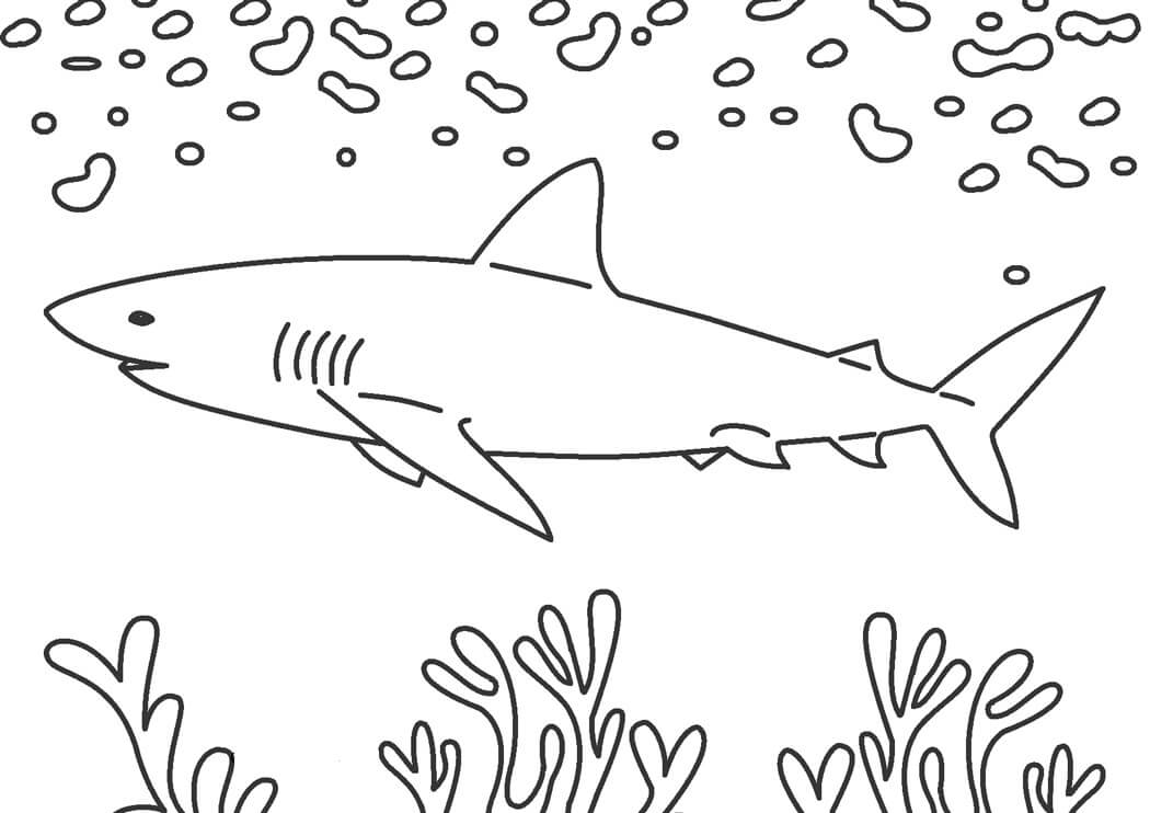 Dibujos de Tiburón con Corales para colorear