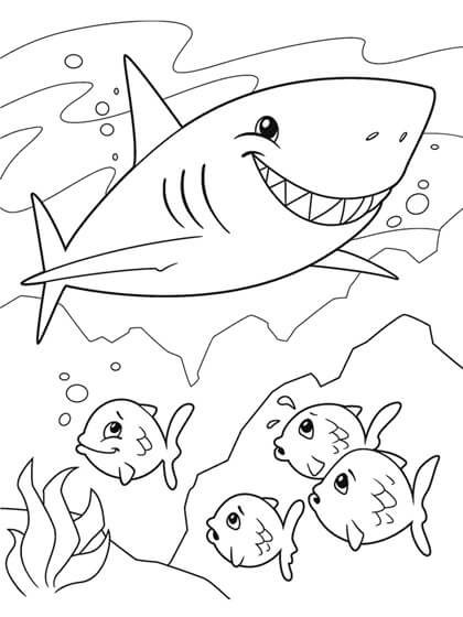 Dibujos de Tiburón con cuatro Peces para colorear